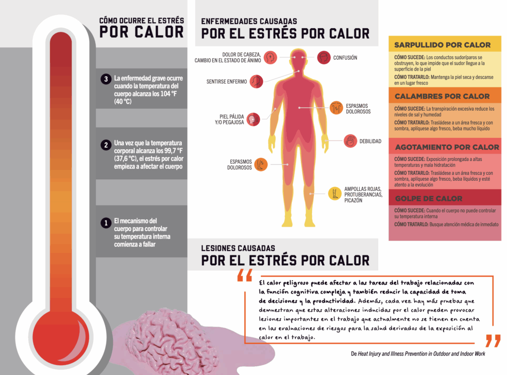 Estrés Térmico. Síntomas y causas.